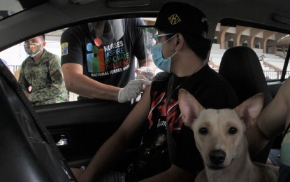 <p><strong>NO WALK-INS.</strong> Manila’s drive-thru vaccination at the Quirino Grandstand lures even this pet dog but only the owner is eligible for the Pfizer Covid-19 jab on Sunday (Aug. 1, 2021). Vaccination is strictly by appointment only for a maximum of four persons per vehicle.<em> (PNA photo by Avito C. Dalan) </em></p>