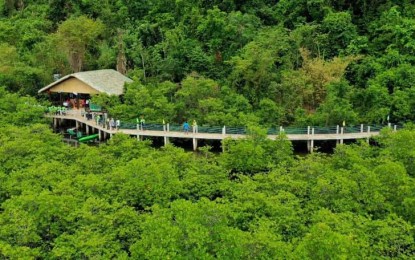 <p><strong>REOPENED.</strong> A portion of Lalaguna Mangrove Eco Park (LEMP) in Lavezares, Northern Samar. The reopening of the site to domestic tourists after over a year of closure due to the pandemic is expected to help recover the livelihood of a local women's group.<em> (Photo courtesy of Northern Samar provincial government)</em></p>