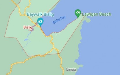 <p>Google map of Bislig City, Surigao del Sur.</p>