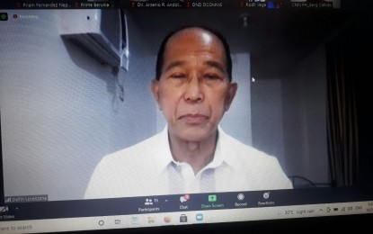 <p>Defense Secretary Delfin Lorenzana <em>(Screengrab from Zoom presser)</em></p>