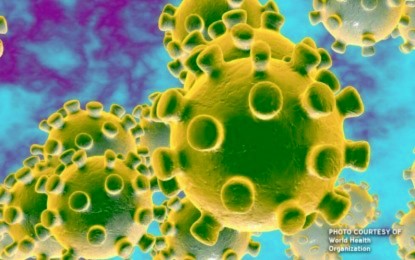 New coronavirus cases fall below 3K for 3rd straight day