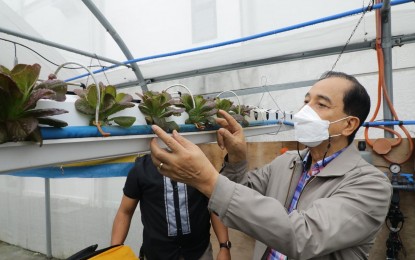 <p><strong>URBAN FARMING</strong>. Agriculture Secretary William Dar visits the Growtech farms in Novaliches on Wednesday (Oct. 10, 2021). Dar said the Growtech Farms greenhouse is the pilot urban farm project of Agrosheriff in the country.<em> (Photo courtesy of DA Comms Group)</em></p>