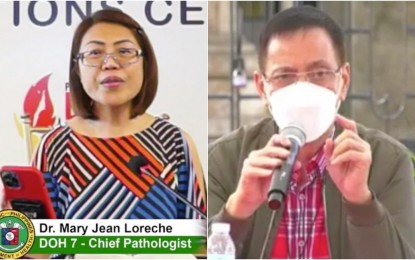 <p>Department of Health-Central Visayas chief pathologist Dr. Mary Jean Loreche and Cebu City Acting Mayor Michael Rama. <em>(File photos)</em></p>