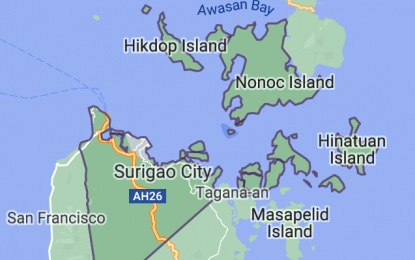 <p>Surigao City <em>(Google map)</em></p>