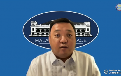 <p>Presidential Spokesperson Harry Roque <em>(Screengrab from RTVM)</em></p>
