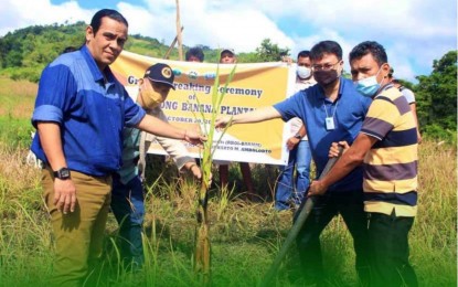 IPs in Maguindanao get banana livelihood from BARMM | Philippine News ...