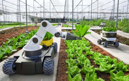 <p>Climate-smart agriculture and innovative food systems investment <em>(Contributed photo)</em></p>