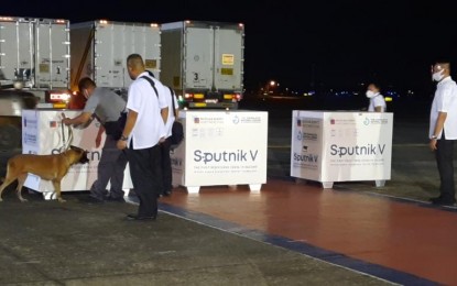 <p><strong>LARGEST SHIPMENT.</strong> A security personnel uses a K-9 dog to inspect the boxes containing the more than 2.8 million doses of the Sputnik V Covid-19 jab at Villamor Air Base in Pasay City on Monday night (Nov. 8, 2021). President Rodrigo R. Duterte personally welcomed the arrival of the largest shipment of the Russia-made vaccine. <em>(PNA photo by Benjamin Pulta)</em></p>