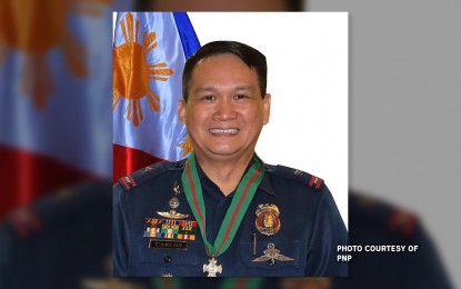 <p>Lt. Gen. Dionardo Carlos <em>(Photo courtesy of PNP)</em></p>