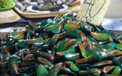 <p><strong>RED TIDE WARNING.</strong>  The Bureau of Fisheries and Aquatic Resources in Negros Oriental has warned the public against eating shellfish while it is continuously monitoring Bais Bay in Bais City, Negros Oriental for possible red tide occurrence. This comes after shellfish samples were laboratory-tested and were found positive for paralytic shellfish poison. <em>(PNA file photo)</em></p>