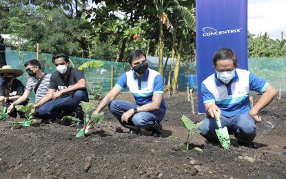 <p><strong>URBAN FARM.</strong> Concentrix has adopted Sunnyville community urban farm as part of its partnership with the Quezon City local government unit’s Grow QC Food Security Program. The program facilitates the promotion of sustainable food systems and collaboration of relevant stakeholders towards nutritious, accessible, and available food for all. <em>(Photo courtesy of Concentrix)</em></p>