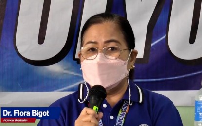 <p>Dr. Flora Bigot, head of the South Cotabato Veterinary Office <em>(Photo courtesy of the provincial government)</em></p>