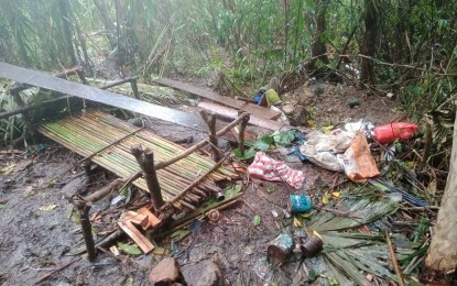 <p><strong>ENCOUNTER SITE</strong>. The area in Barangay Salvacion in Ragay, Camarines Sur, where a clash occurred between government soldiers and New People's Army (NPA) rebels on Sunday (Dec. 12, 2021). A still unidentified rebel was killed in the armed encounter. <em>(Photo courtesy of 9th Infantry Division)</em></p>