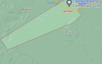 <p><em>(Google map of Carmen, Surigao del Sur)</em></p>