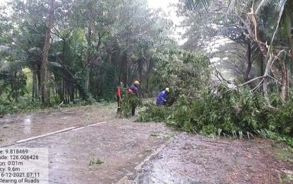 <p>A clearing operation by the Department of Public Works and Highways in Caraga. <em>(PNA file photo)</em></p>