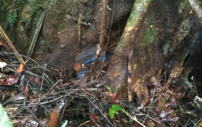 <p><strong>FOOD CACHE</strong>. The site where military troops recovered a food cache believed to be owned by remnants of a dismantled group of the New People’s Army, in Barangay Ditumabo, San Luis, Aurora. Government troops on Wednesday (Dec. 22, 2021) found two containers of rice weighing about 60 kg. <em>(Photo courtesy of the Army's 91IB)</em></p>