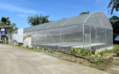 <p><strong>CONTROLLED CLIMATE</strong>. A greenhouse that makes use of the hydroponics technology established in Capiz is turned over to its recipient on Nov. 19, 2021. Next year, farmers' associations in identified provinces will become recipients of smart or IT-based greenhouses, Department of Agriculture regional executive director Remelyn Recoter said in an interview on Friday (Dec. 24, 2021). <em>(Photo courtesy of the DA Regional Agri-Fisheries Information Section 6)</em></p>