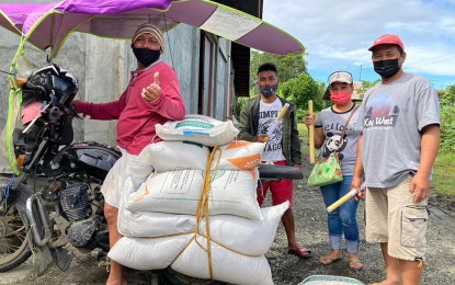 <p><strong>HIGH-YIELDING SEEDS</strong>. The Philippine Rice Research Institute (PhilRice) in Agusan has reported that 19,615 rice farmers from three provinces in the Caraga region engaged in certified inbred rice farming in 2021. This year, PhilRice said, 65,388 bags of certified inbred rice seeds were released to farmers in the region, covering 32,693 hectares of rice fields. <em>(Photo from PhilRice-Agusan)</em></p>