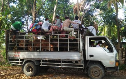 <p><strong>LIVELIHOOD.</strong> Indigenous peoples (IP) from Barangay Igcalawagan, Tobias Fornier town are recipients of cattle-fattening and carabao-raising projects from the Department of Labor and Employment (DOLE). DOLE Antique Provincial Office information officer Donnabelle Baldonado said Monday (Jan. 10, 2022) the livelihood project was proposed last year and was delivered on Jan. 4, 2022. <em>(Photo courtesy of DOLE Antique)</em></p>