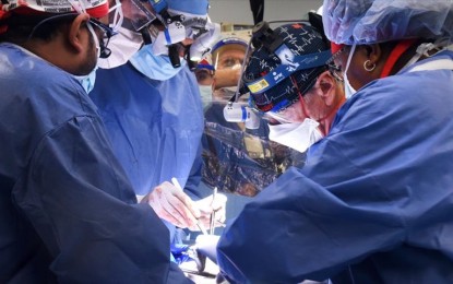US surgeons make history with pig heart transplant into man