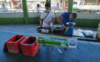 <p><strong>KADIWA NI ANI AT KITA.</strong> The Department of Agriculture (DA) in Central Luzon will again roll out its 'Kadiwa ni Ani at Kita' mobile market in the City of San Fernando, Pampanga on Wednesday (Jan. 19, 2022). The project aims to help farmers get the best prices for their goods while providing affordable, safe, and nutritious food to consumers.<em> (File photo courtesy of BFAR-3)</em></p>