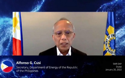 <p>Department of Energy (DOE) Secretary Alfonso Cusi<em> (Photo from DOE)</em></p>