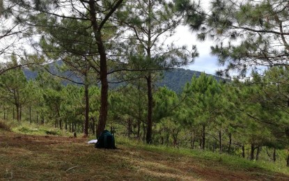 Baguio City dads mull tax incentives for lands with ‘greens’