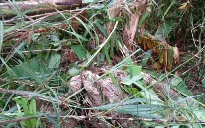 <p><strong>EXPLOSION</strong>. The site where an anti-personnel mine planted by the New People's Army exploded on the outskirts of Pinabacdao, Samar. The detonation has wounded a soldier and a militiaman.<em> (Photo courtesy of Philippine Army)</em></p>