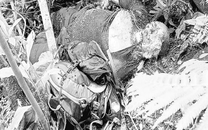 <p><strong>CADAVER.</strong> A decomposing cadaver believed to be that of a New People's Army (NPA) member was discovered by government troops in Purok 6, Barangay Panoraon Maco, Davao de Oro on Friday (Jan. 28, 2022). The body was discovered after a concerned citizen reported a foul smell in the area which prompted the troops to conduct a search. <em>(Photo courtesy of 1001st Infantry Brigade)</em></p>