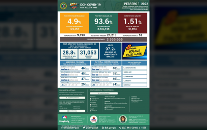 <p><em>(Infographic courtesy of DOH)</em></p>