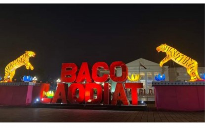 Bacolod’s Fil-Chinese community welcomes Year of the Tiger