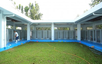 <p><strong>ANIMAL SHELTER</strong>. This undated photo shows part of the newly opened animal shelter for abandoned animals in Barangay Cogon, Juban, Sorsogon. The facility can accommodate at least 200 animals. <em>(Photo courtesy of Salvador Mendoza/Sorsogon PIO)</em></p>