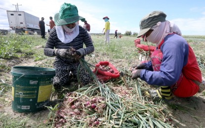 2.9M agrarian reform beneficiaries urged to vote wisely