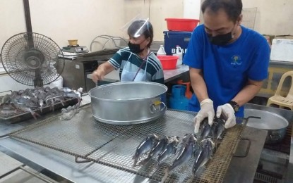 <p>Proceesing of smoked catfish at Bureau of Fisheries and Aquatic Resources central office, Diliman, Quezon City <em>(Photo courtesy of Viola Mariano Facebook)</em></p>
