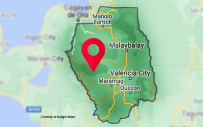 <p>Google map of Bukidnon province.</p>