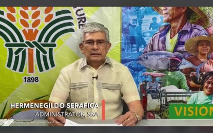 <p>Sugar Regulatory Administration chief Hermenegildo Serafica (<em>Screengrab of DA virtual briefer)</em></p>