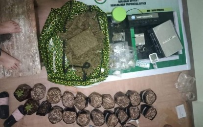 <p><strong>ACCOMPLISHMENT</strong>.  The Philippine Drug Enforcement Agency (PDEA) seized PHP480,000 worth of marijuana from a high-value target in Barangay Anolid Mangaldan town, Pangasinan on Feb. 22, 2022. The operation was one of the seven conducted by PDEA from January to May 27. <em>(PNA file photo courtesy of PDEA-Pangasinan)</em></p>