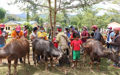 <div class="cxmmr5t8 oygrvhab hcukyx3x c1et5uql o9v6fnle ii04i59q">
<div dir="auto">Indigenous Peoples farmer associations in Impasugong, Bukidnon <em>(Courtesy of Department of Agriculture Regional Office 10)</em></div>
</div>
<div class="cxmmr5t8 oygrvhab hcukyx3x c1et5uql o9v6fnle ii04i59q"> </div>