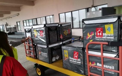 <p><strong>MORE VACCINES</strong>. Some 84,900 doses of coronavirus disease 2019 (Covid-19) jabs from the Department of Health arrive at the Bacolod-Silay Airport in Negros Occidental on Wednesday (March 9, 2022). The additional supply included Pfizer and Sinovac vaccines for both adult and minor Negrenses. <em>(Photo courtesy of PIO Negros Occidental)</em></p>