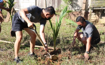 <p><strong>SUPPORT TO IP COMMUNITY. </strong> Troops of the Army’s 91st Infantry (Sinagtala) Battalion plant some 100 coconut saplings for the IP community of Barangay Bayanihan in Maria Aurora town, Aurora Province on Wednesday (March 9, 2022). In partnership with the Philippine Coconut Authority (PCA) and National Commission on Indigenous Peoples (NCIP), the activity aims to provide sustainable livelihood to the Bugkalot tribe and at the same time increase the province’s coconut production. <em>(Photo courtesy of the Army's 91ist IB) </em></p>