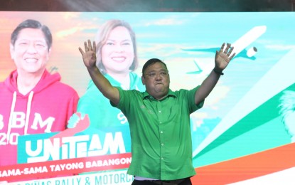 <p>Senatorial candidate Harry Roque <em>(File photo)</em></p>