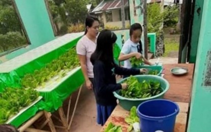 <p><strong>'AGRI-PRENEUR' KIDS.</strong> <br />Students join their teacher in attending their school-based hydroponic facility in Capiz in this undated photo. Kids used to take care of their makeshift farm at school before the onset of the pandemic, generating income from their harvested lettuce <em>(Photo courtesy of Mann F. Lee)</em></p>