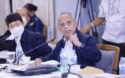 <p>DOE Secretary Alfonso Cusi <em>(Presidential photo)</em></p>