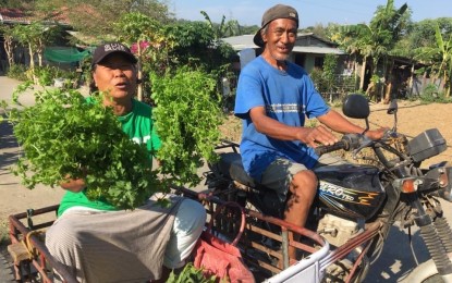 <p><strong>FARMER-ENTREPRENEURS.</strong> A farmer couple rides a kurong-kurong to sell their produce around the neighborhood in San Nicolas, Ilocos Norte on Wednesday (March 16. 2022). They said the surging prices of fuel have affected their livelihood. <em>(File photo by Leilanie G. Adriano)</em></p>