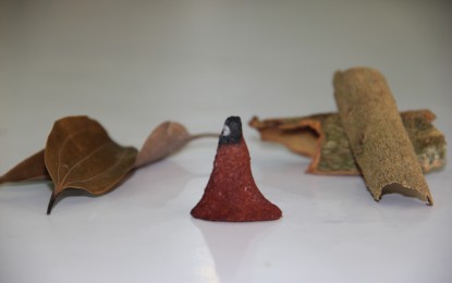 <p><strong>FOREST PRODUCTS.</strong> This undated photo shows barks, leaves, and resins of forest species after oil extraction that will be used by the Forest Products Research and Development Institute (FPRDI) in developing incense products using hydrosols and solid residues in Laguna. The FPRDI will also study the incense products' ability to repel insects. <em>(Photo courtesy of FPRDI director Romulo Aggangan)</em></p>