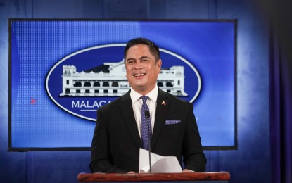 Andanar not keen on running for public office