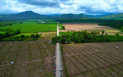 <p><strong>ROAD NETWORK.</strong> An aerial shot of the PHP534.2 million road network in Davao Oriental, funded Department of Agriculture - Philippine Rural Development Program. It is the longest road network project in the province, stretching to a total of 32.96 kilometers.<em> (Photo courtesy of Davao Oriental PIO</em></p>