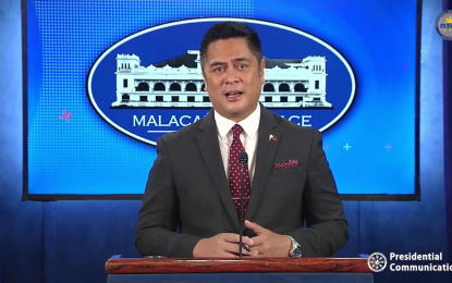 <p>Acting presidential spokesperson and Communications Secretary Martin Andanar <em>(File photo)</em></p>