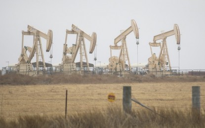 <p>Oil derricks operate in Three Rivers, Texas, the United States on Feb. 24, 2022. <em>(Photo by Nick Wagner/Xinhua)</em></p>