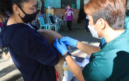 <p><strong>RABIES-FREE.</strong> The Department of Agriculture in Caraga declares a city and 12 municipalities in the region as rabies-free areas on Monday (April 4, 2022). Photo shows a vaccination activity in Butuan City, conducted by DA-13 during the culmination of Rabies Month on March 31, 2022. <em>(Photo courtesy of DA-13)</em></p>